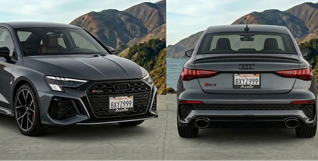 Audi 3D Simulated Carbon Fiber License Plate Frame