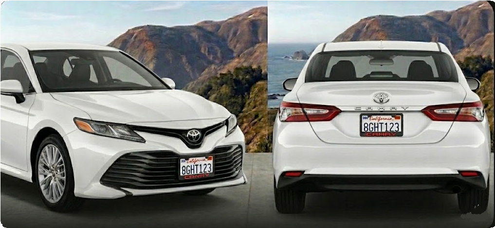 Toyota  Camry Simulated Carbon Fiber License Frame